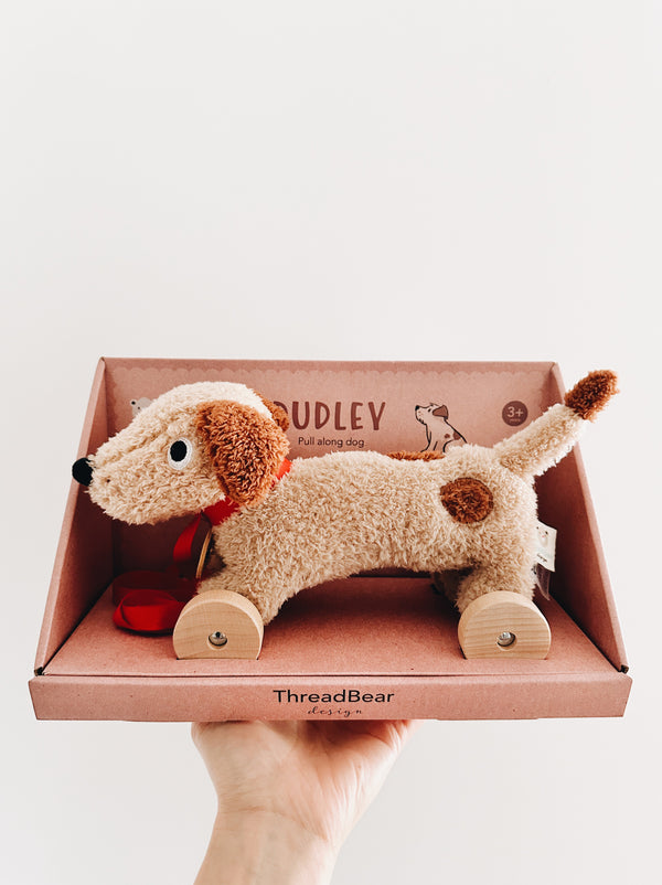 Dudley Pull-Along Puppy by Threadbear Design - Andnest.com