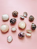 Seashell Treasure Box - Andnest.com