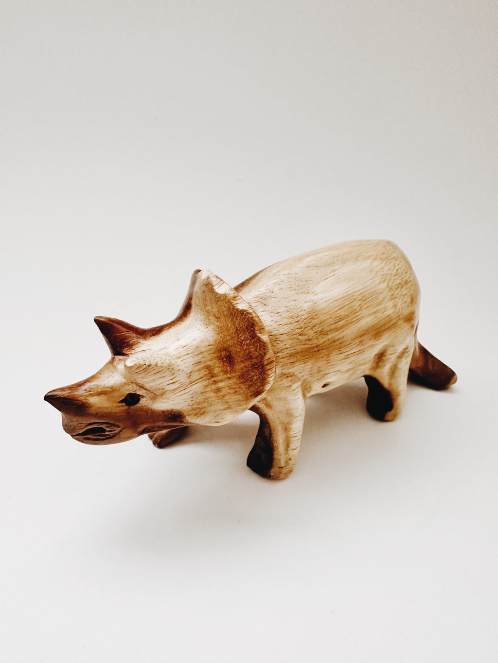 Dino Sound- Triceratops - Andnest.com