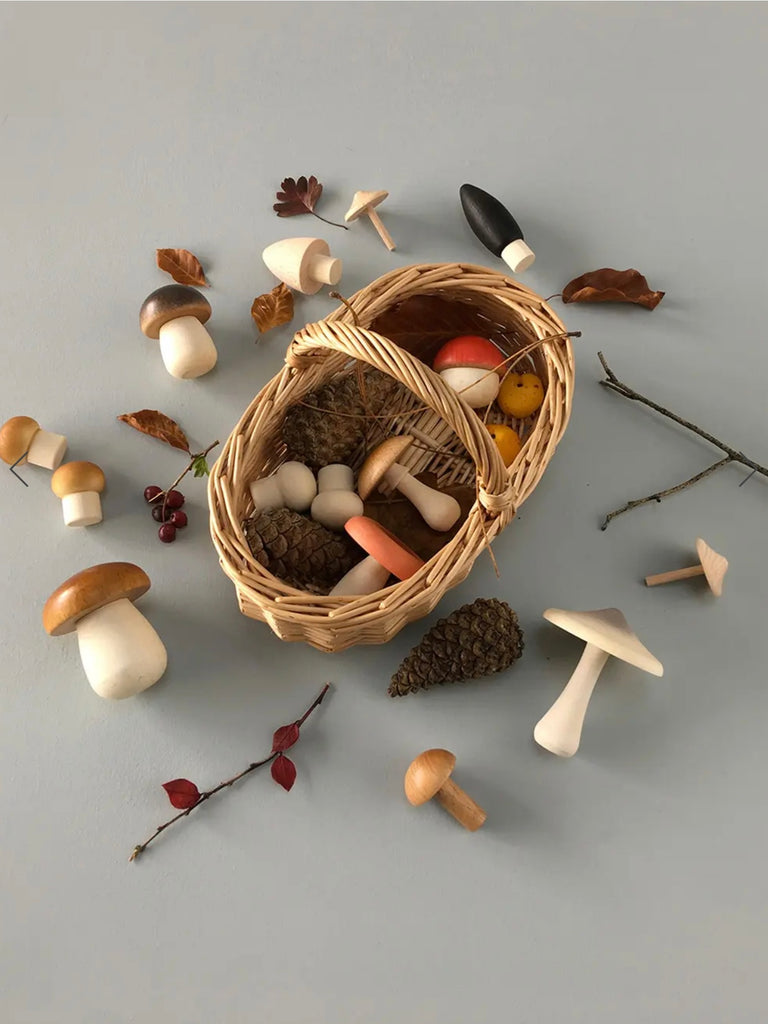 Moon Picnic Forest Mushrooms Basket - Andnest.com