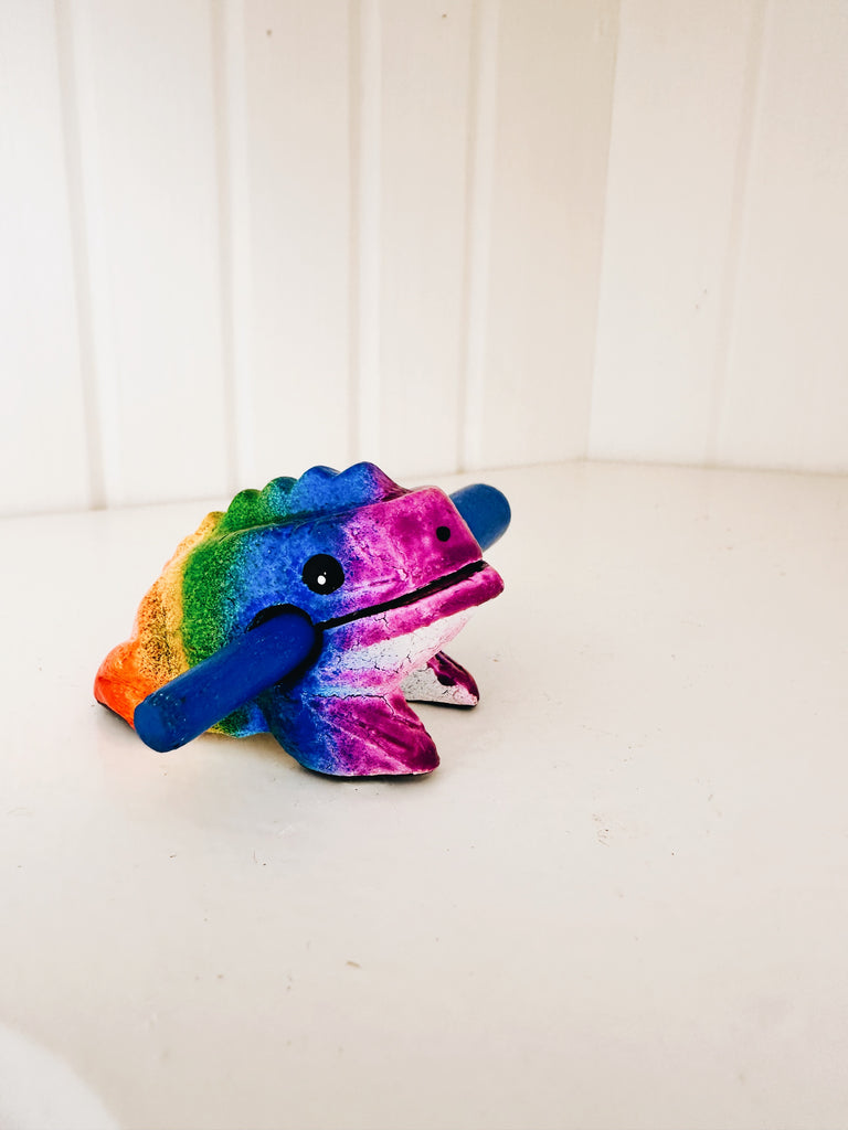 Rainbow Croaking Frog Guiro -  A musical instrument - Andnest.com