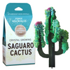 Crystal Growing Saguaro Cactus - Andnest.com