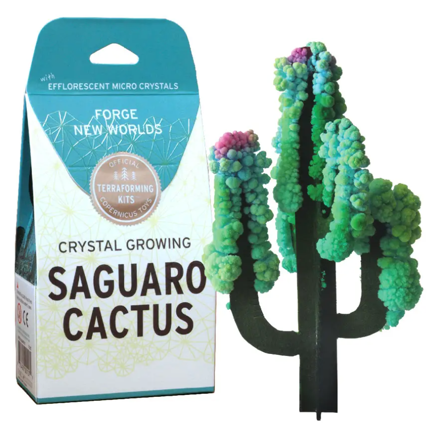 Crystal Growing Saguaro Cactus - Andnest.com