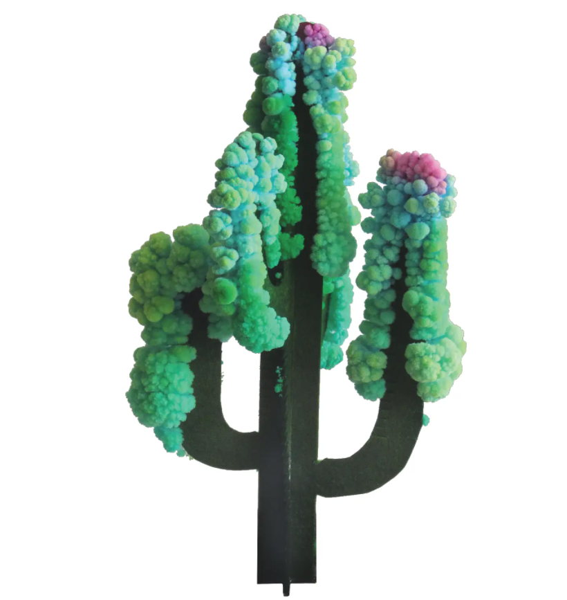 Crystal Growing Saguaro Cactus - Andnest.com