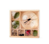 Wooden Magnifying Box - My little Museum - Andnest.com