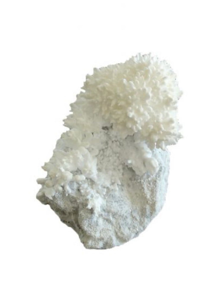 Crystal Growing Rocks - Andnest.com