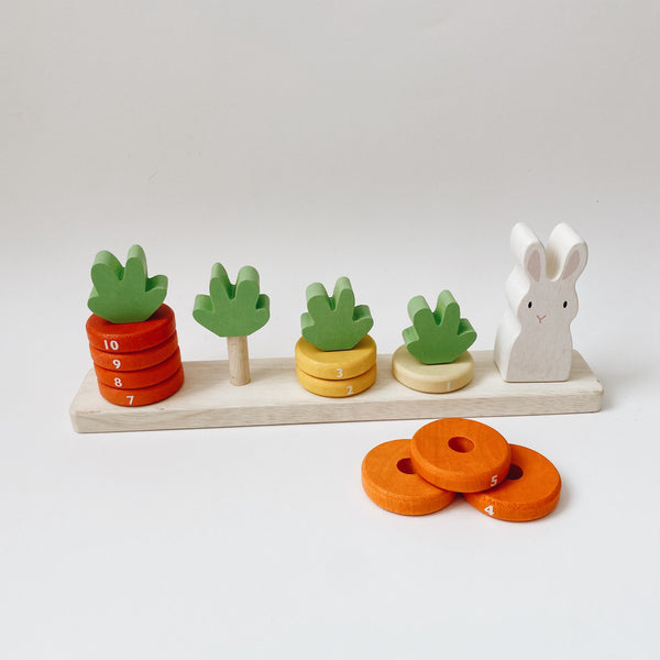 Bunny Counting Carrots - Andnest.com