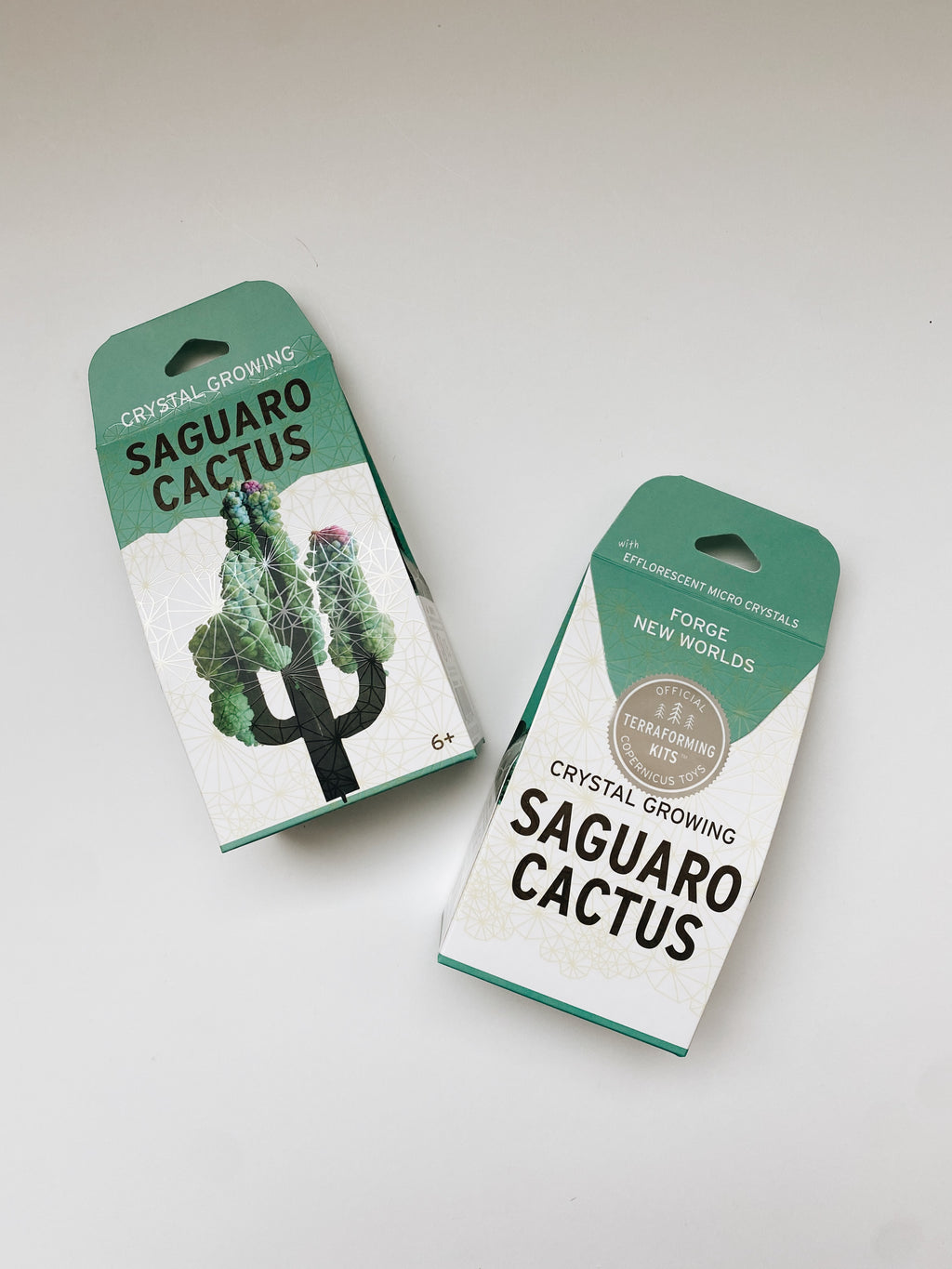 Crystal Growing Saguaro Cactus - Andnest.com