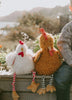 Chicken Stuffed Animal - Clucky or Randy - Andnest.com